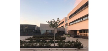 Director/Gerent - José Francisco Tur Torres