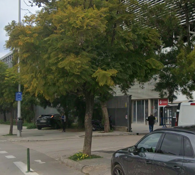 OAMR Palma Velòdrom 