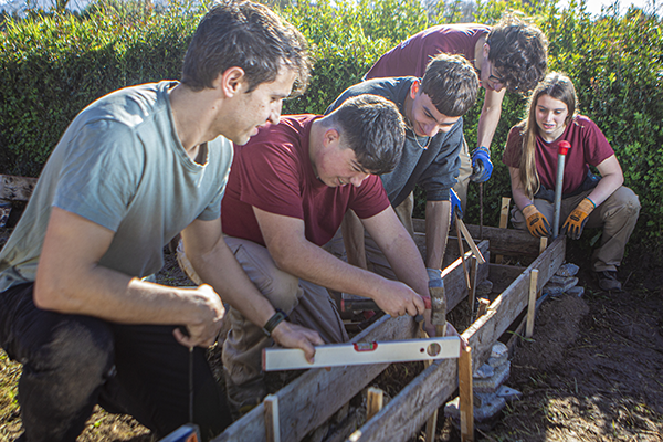 Graus D - Cicles formatius de grau b&agrave;sic