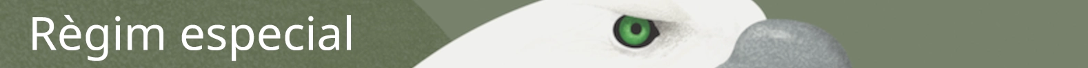 R&egrave;gim especial