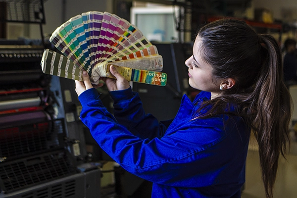 Graus D - Cicles formatius de grau b&agrave;sic