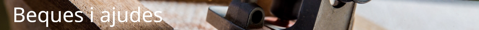 Beques i ajudes