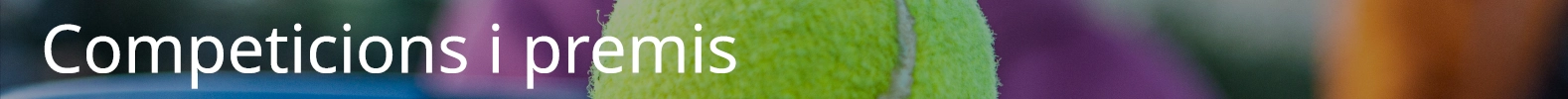 Competicions i premis