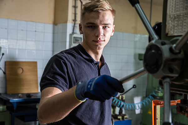 Graus D - Cicles formatius de grau b&agrave;sic