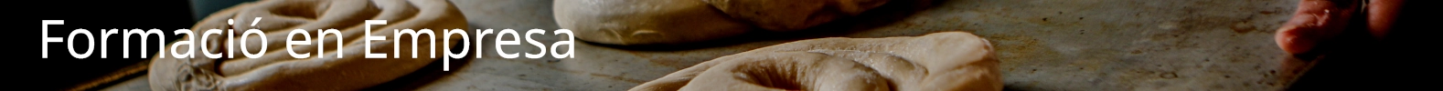 Formaci&oacute; en Empresa o Organisme Equiparat (FEMPO)