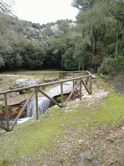 3.Voltants del refugi.JPG