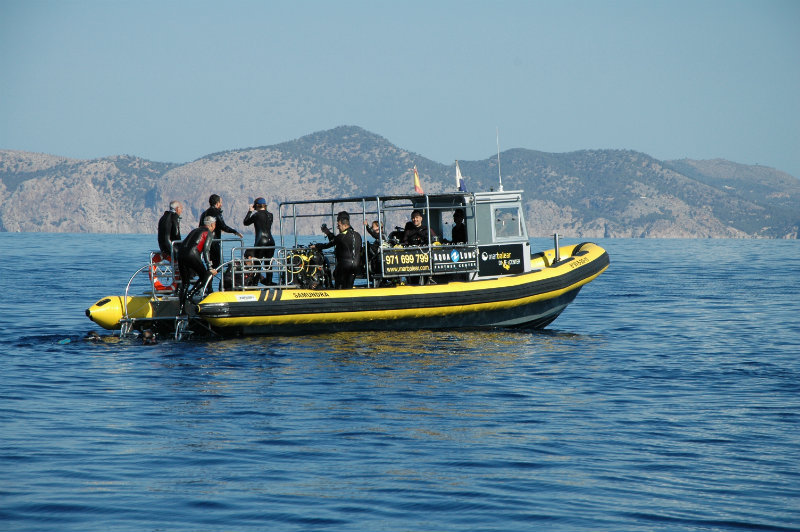 Control del Busseig 3