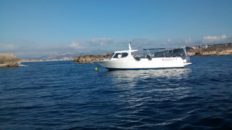 Control del Busseig 6