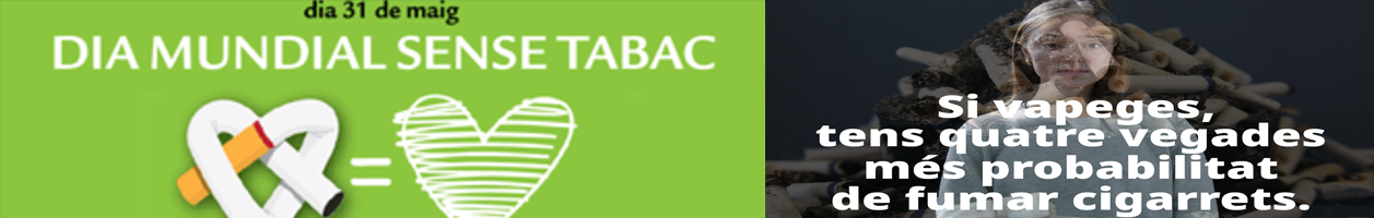 baner DMST 2026
