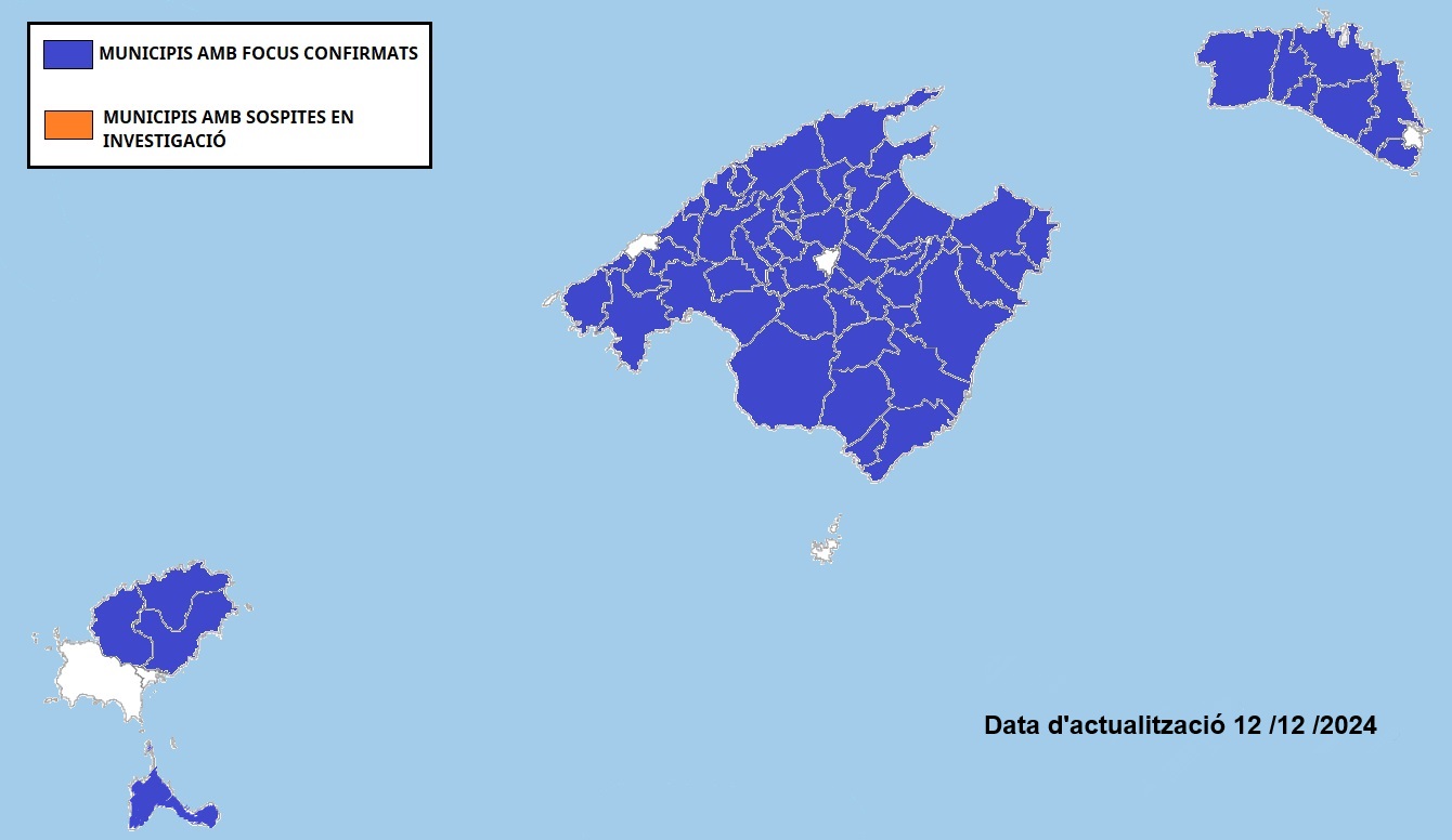 mapa_Baleares_focos_12.12_con_leyenda_y_fecha.jpg