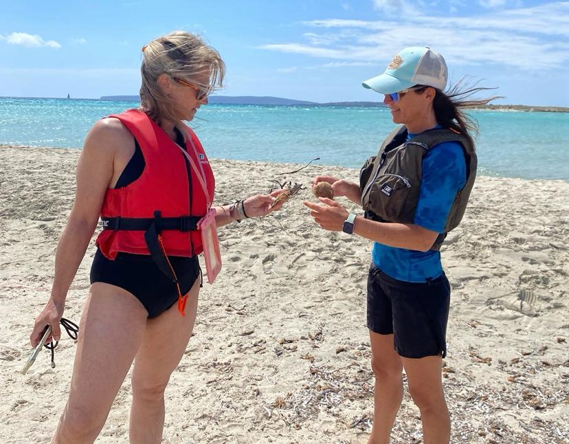  	archivopub.do?ctrl=MCRST7105ZI535880&id=535880