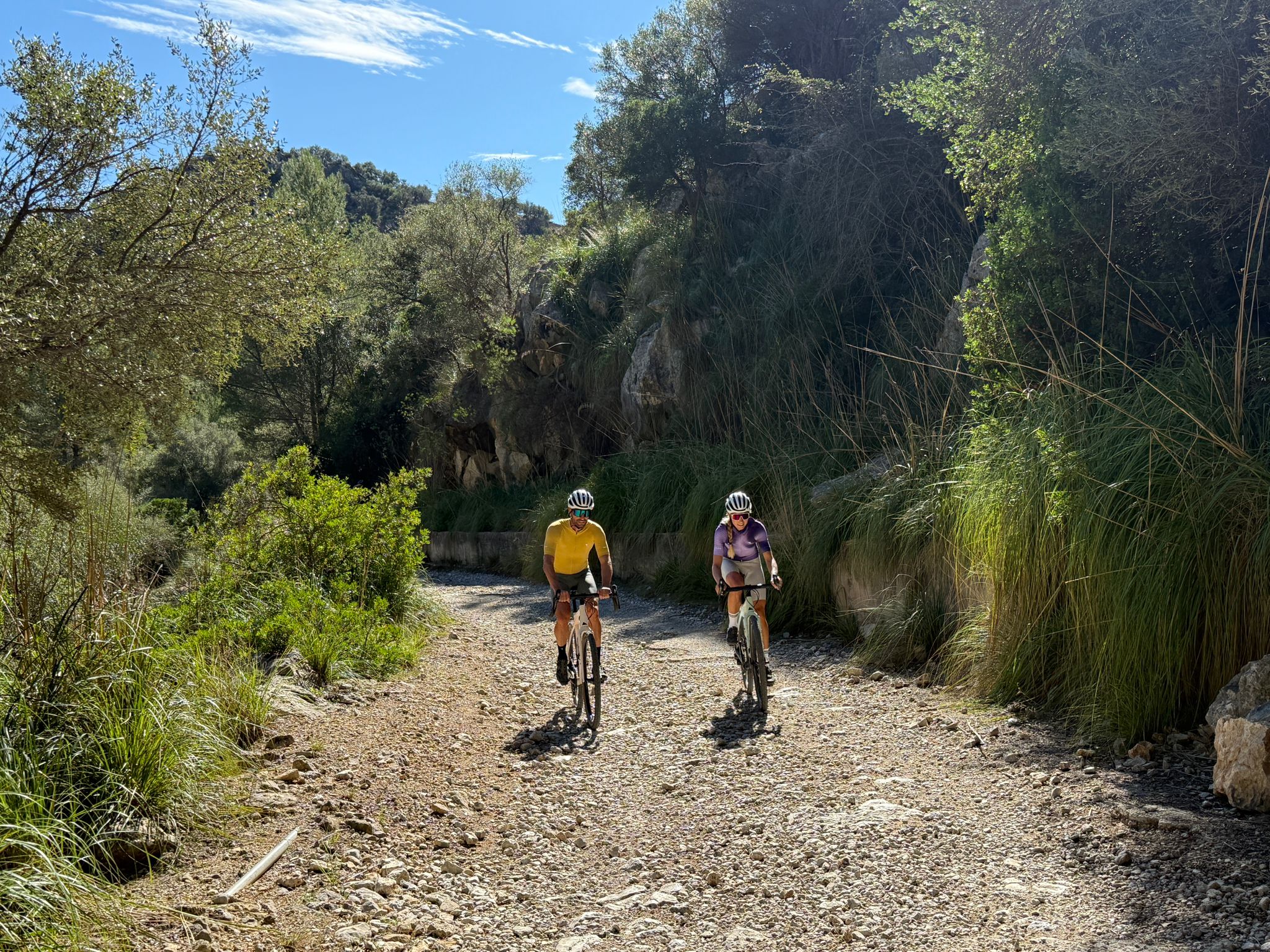 archivopub.do?ctrl=MCRST7105ZI535885&id=535885