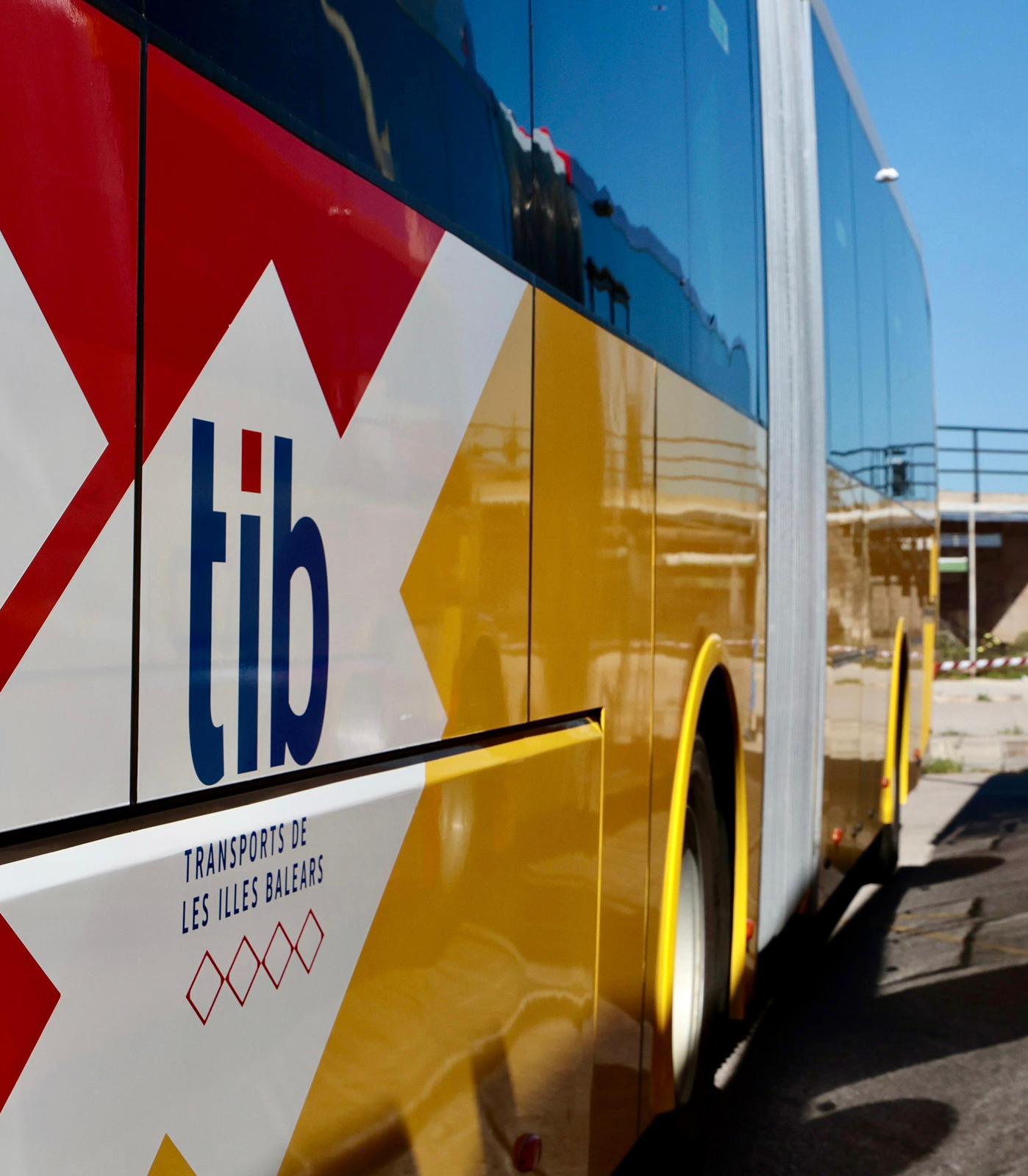 Bus del TIB