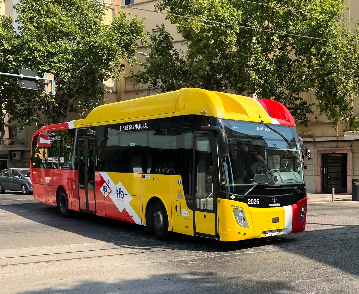 Bus de TIB
