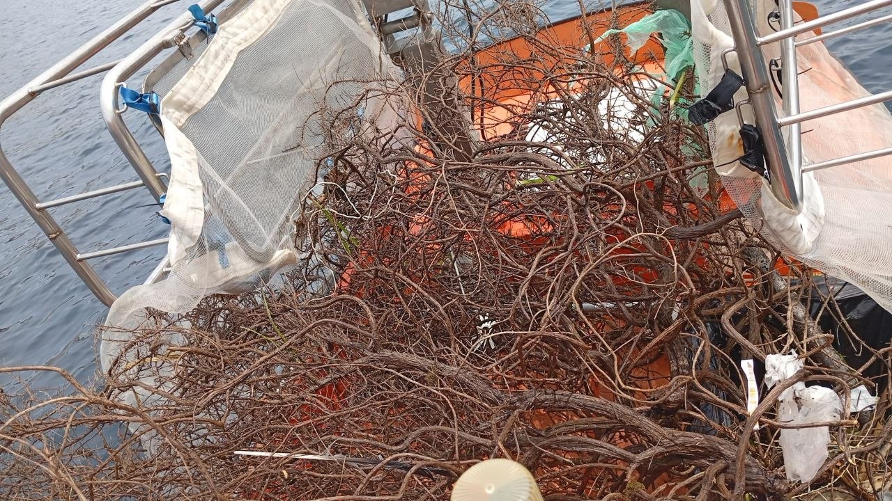 Residus recollits pel servei de neteja del litoral 