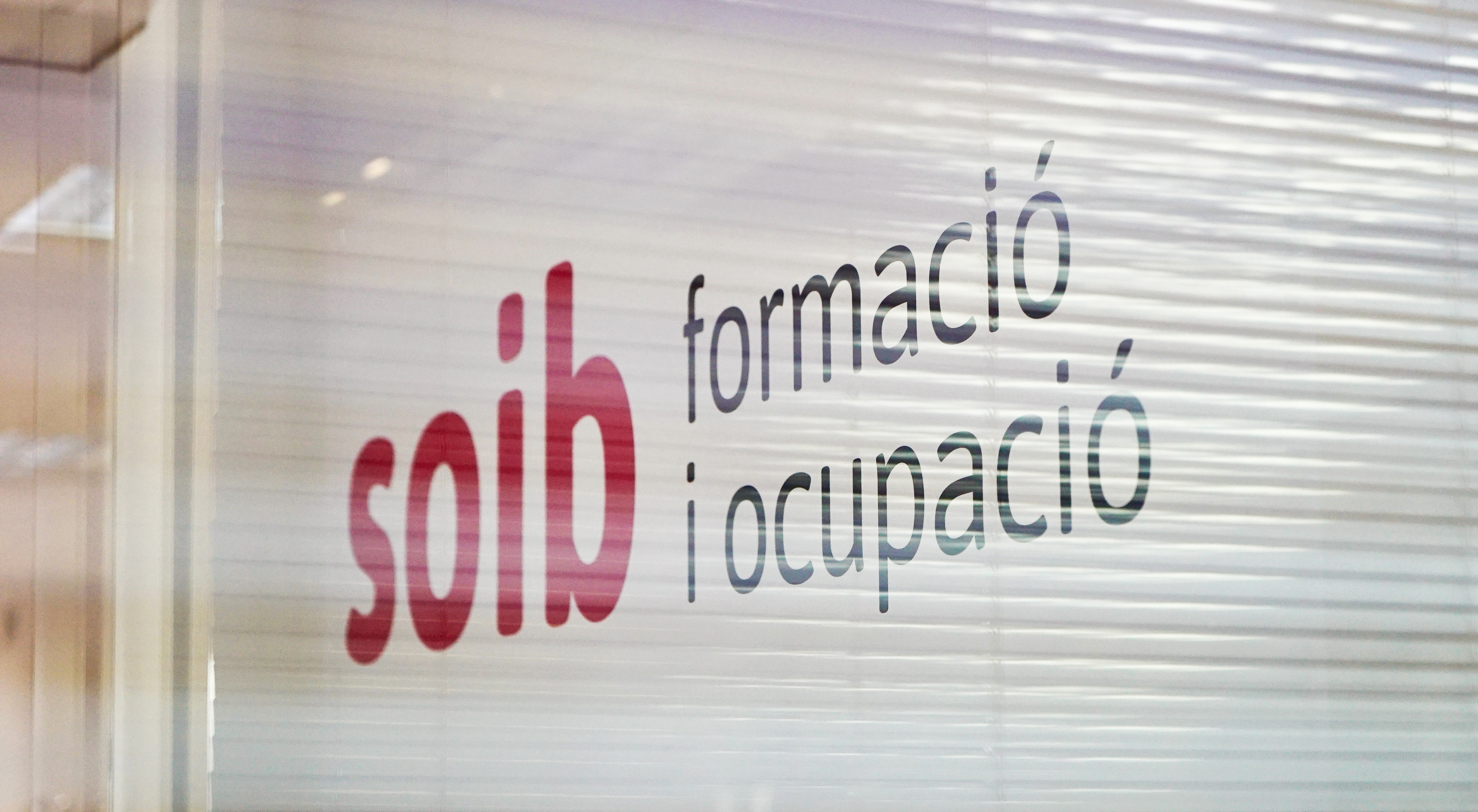 Logo soib