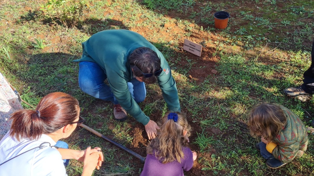 Siembra de plantas con niñas y niños