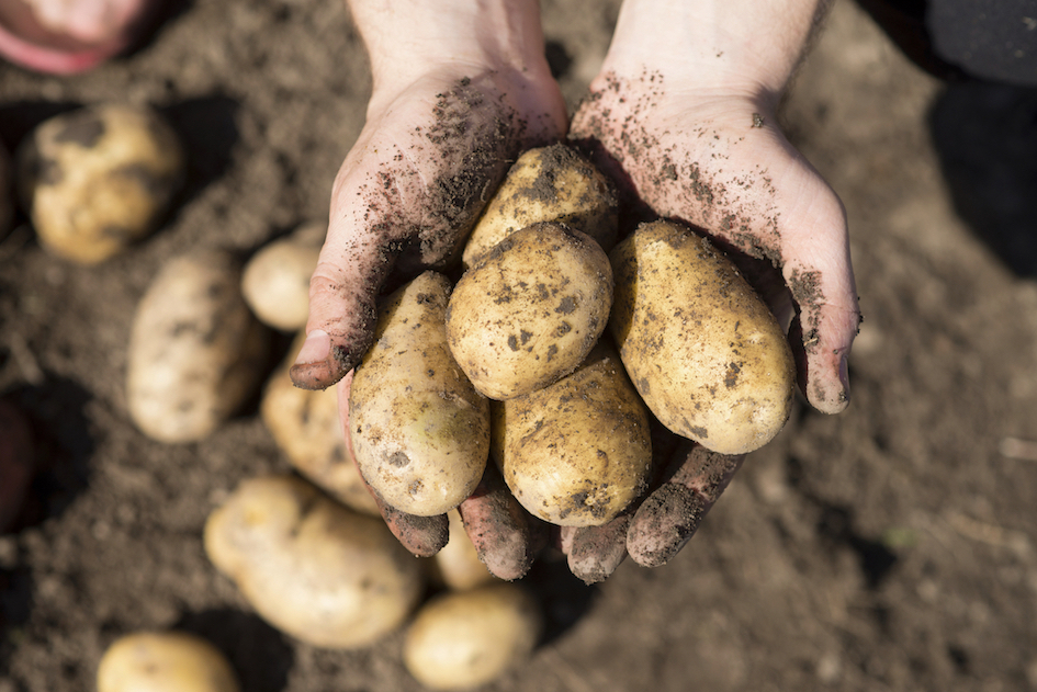 Recerca i formació agrària i pesquera