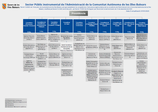 Sector públic instrumental