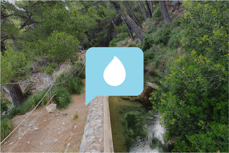 Inversions en el cicle de l'aigua