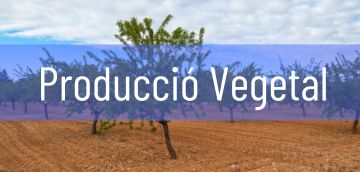 Producció vegetal