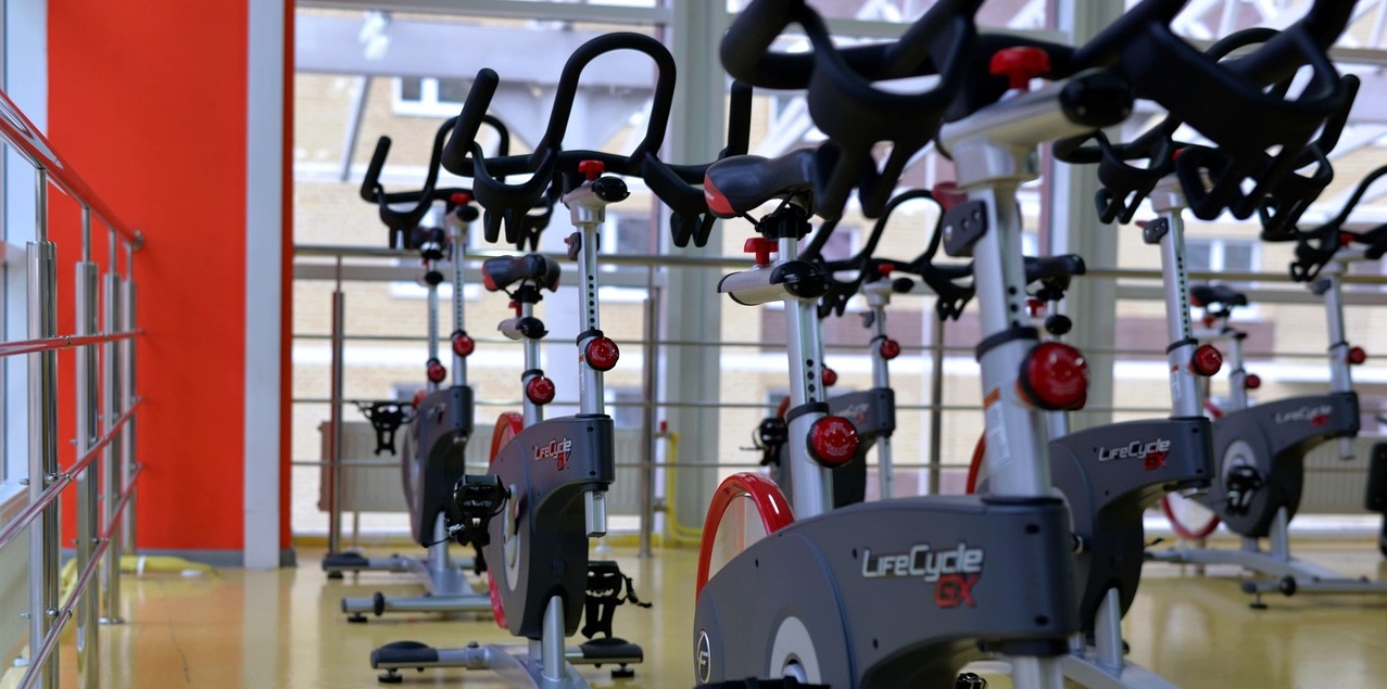 DISPOSITIUS DE VOLANT INERCIAL