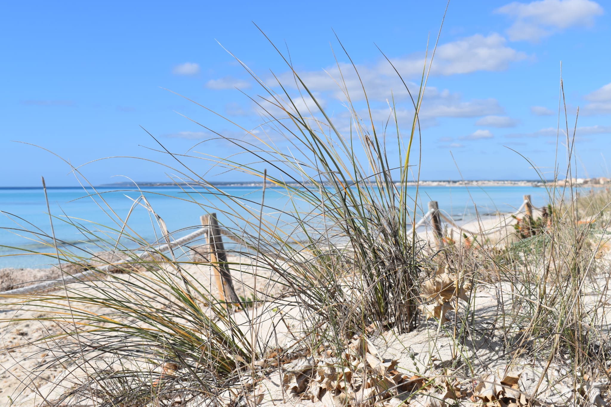 Parc Natural Maritimoterrestre es Trenc - Salobrar de Campos.