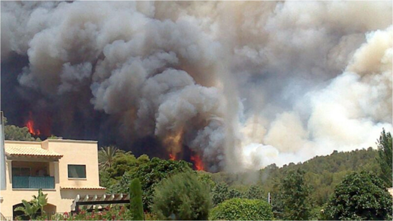 Imatge de l'incendi forestal d'Andratx de l'any 2013.