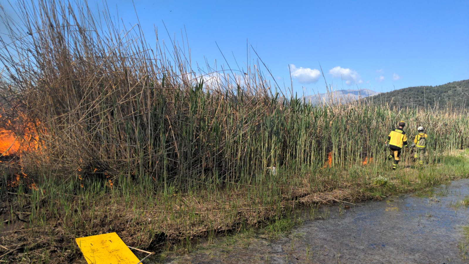Actuació a s'Albufera de Mallorca