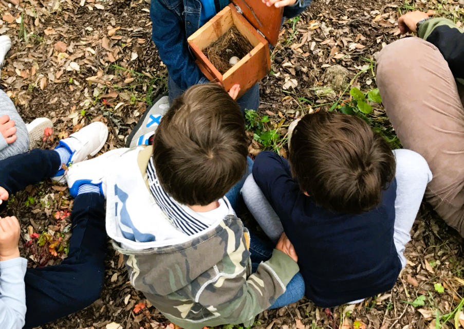 Dos nins, d'esquena, asseguts en un camp.