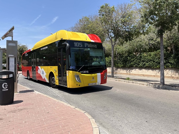 Bus del TIB