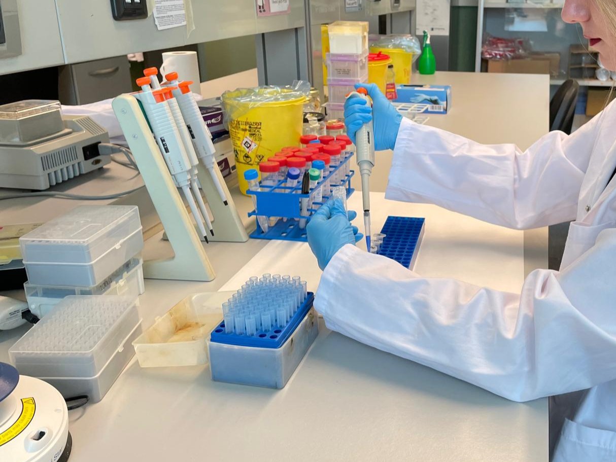 Una tècnica de laboratori analitza unes mostres