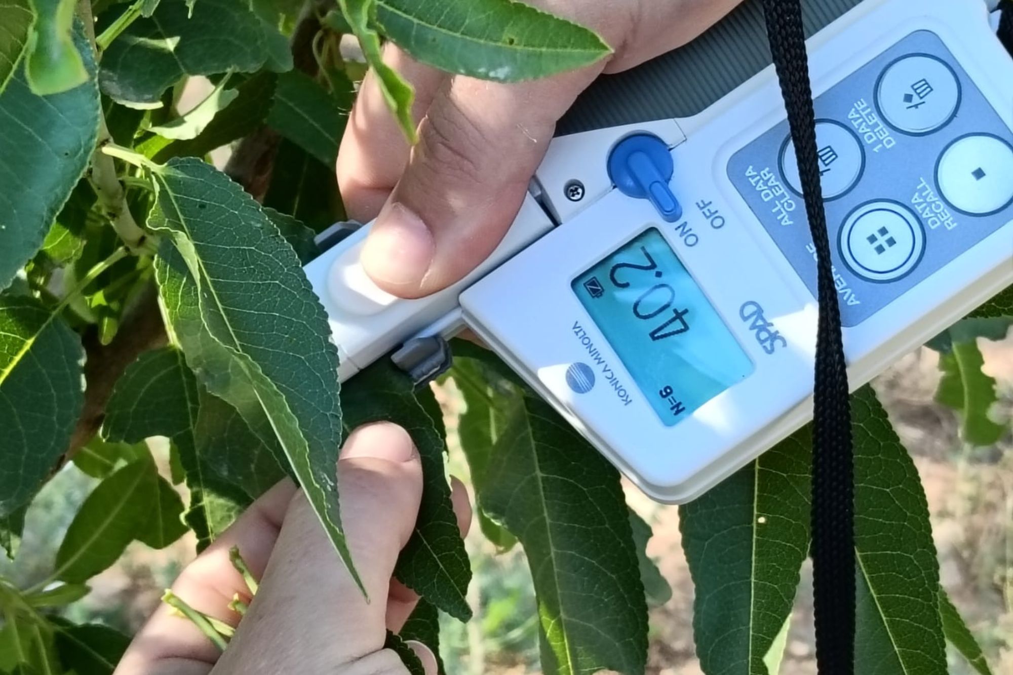 Un tècnic mesura la temperatura d'una planta