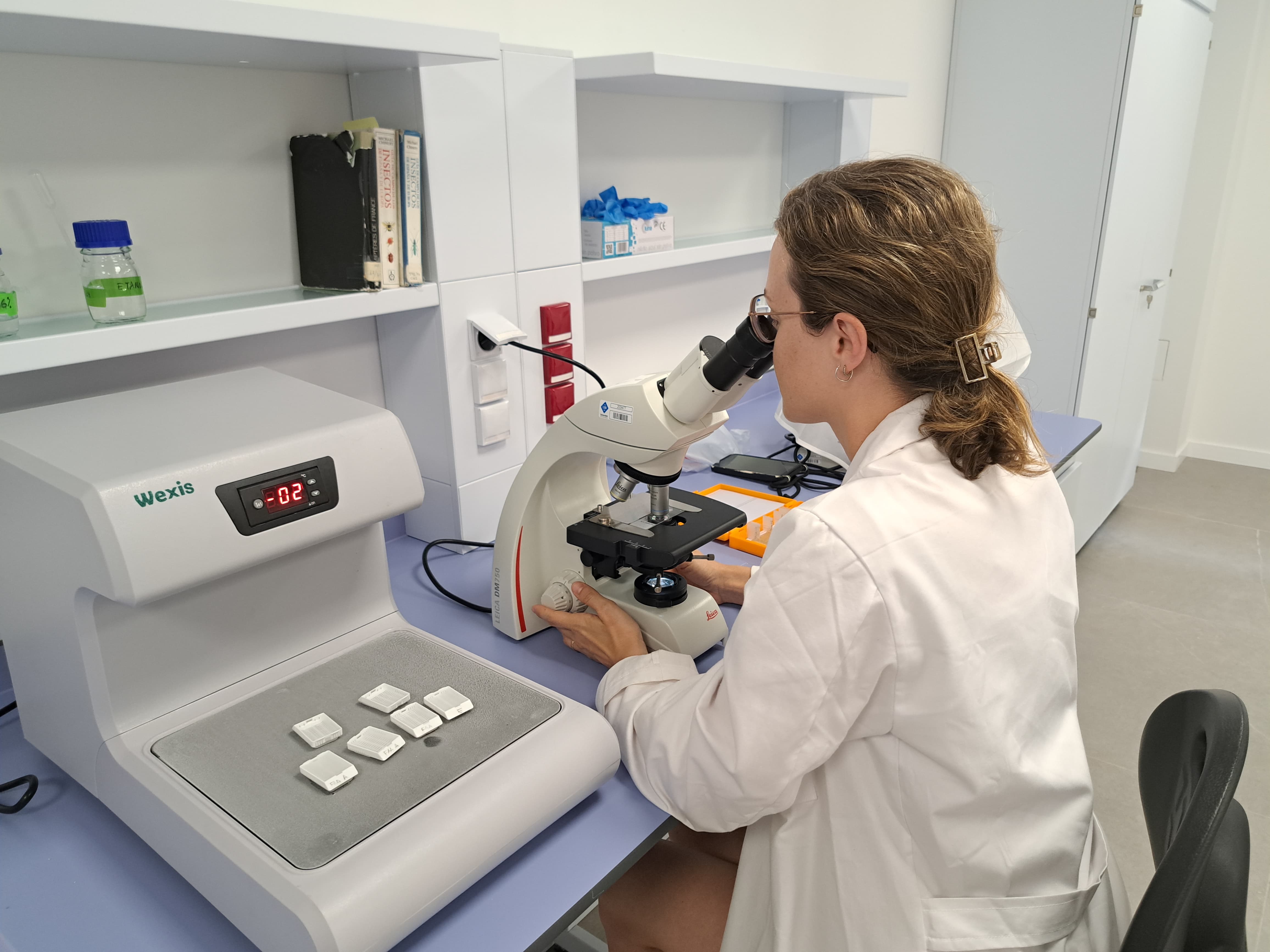 Una tècnica mira una mostra per un microscopi