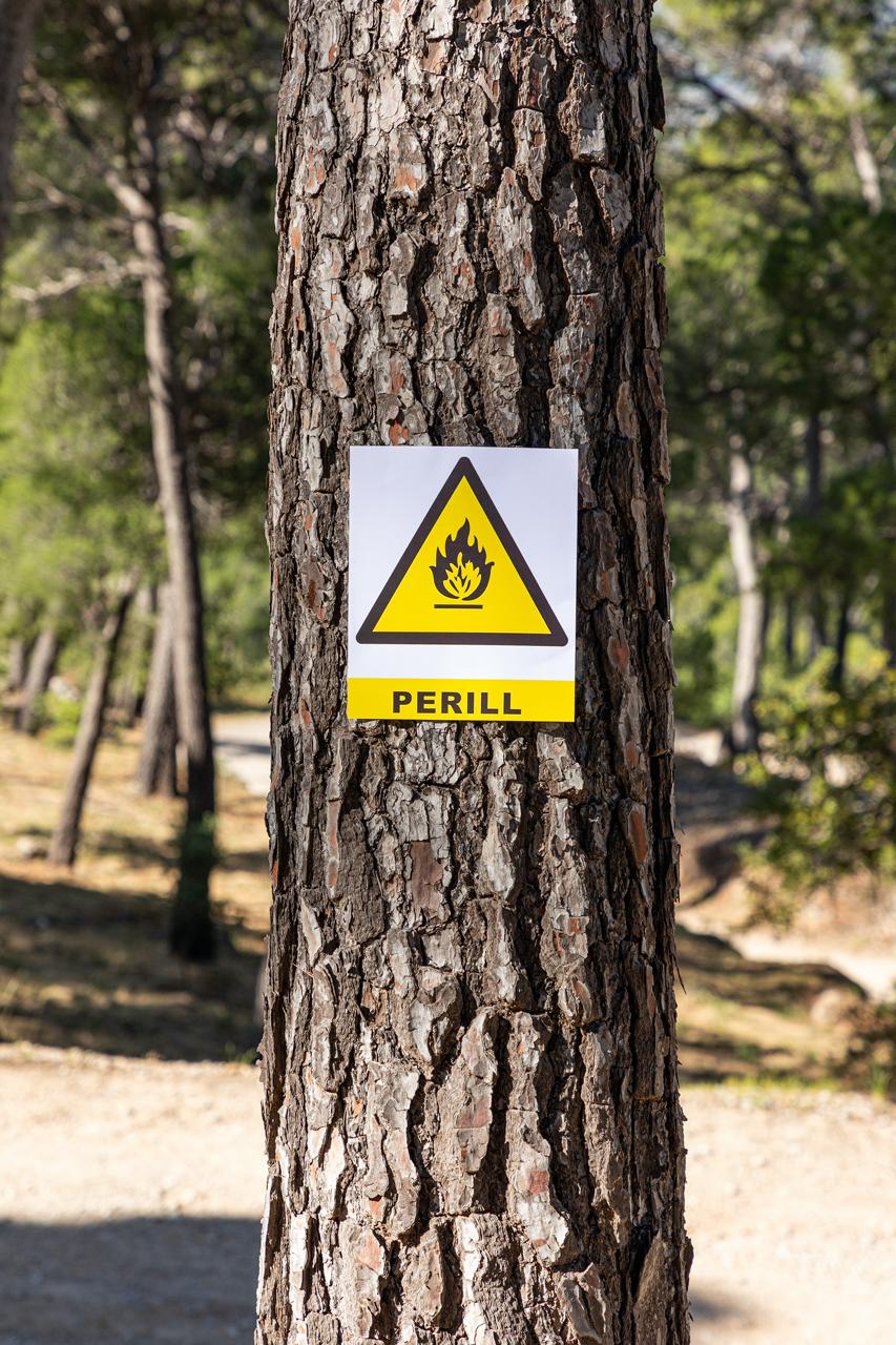 Cartell de perill d'incendi sobre un arbre