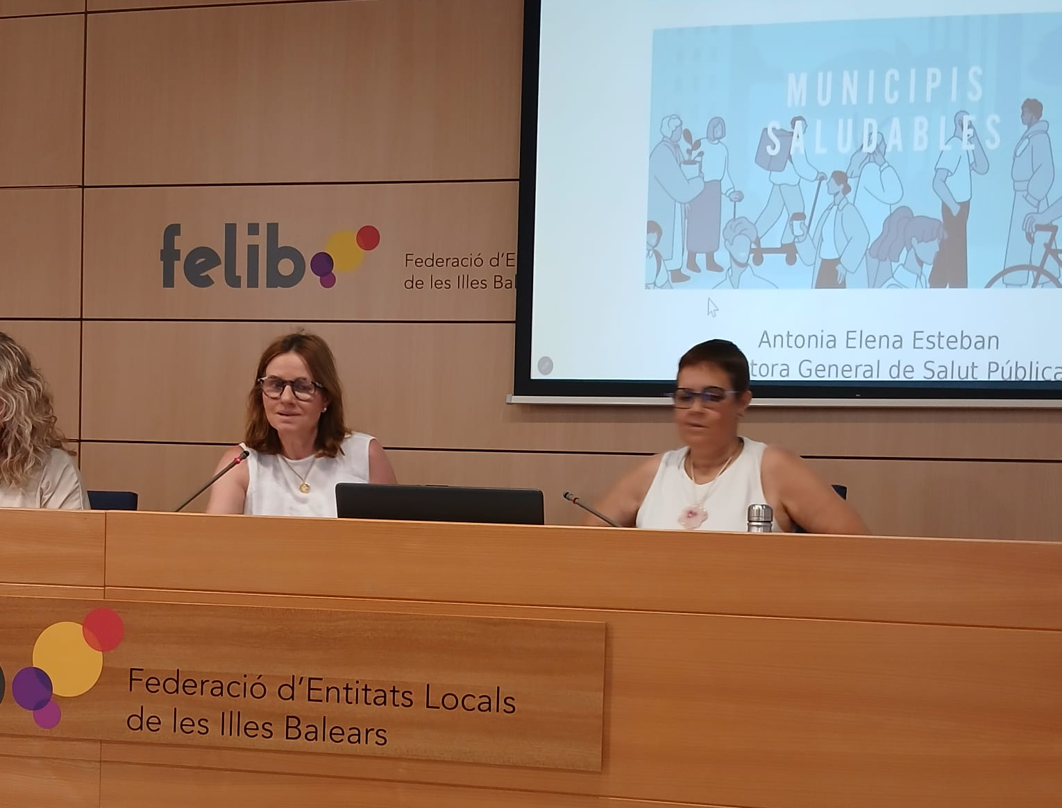 Un moment de la intervenció de la directora general de Salut Pública.