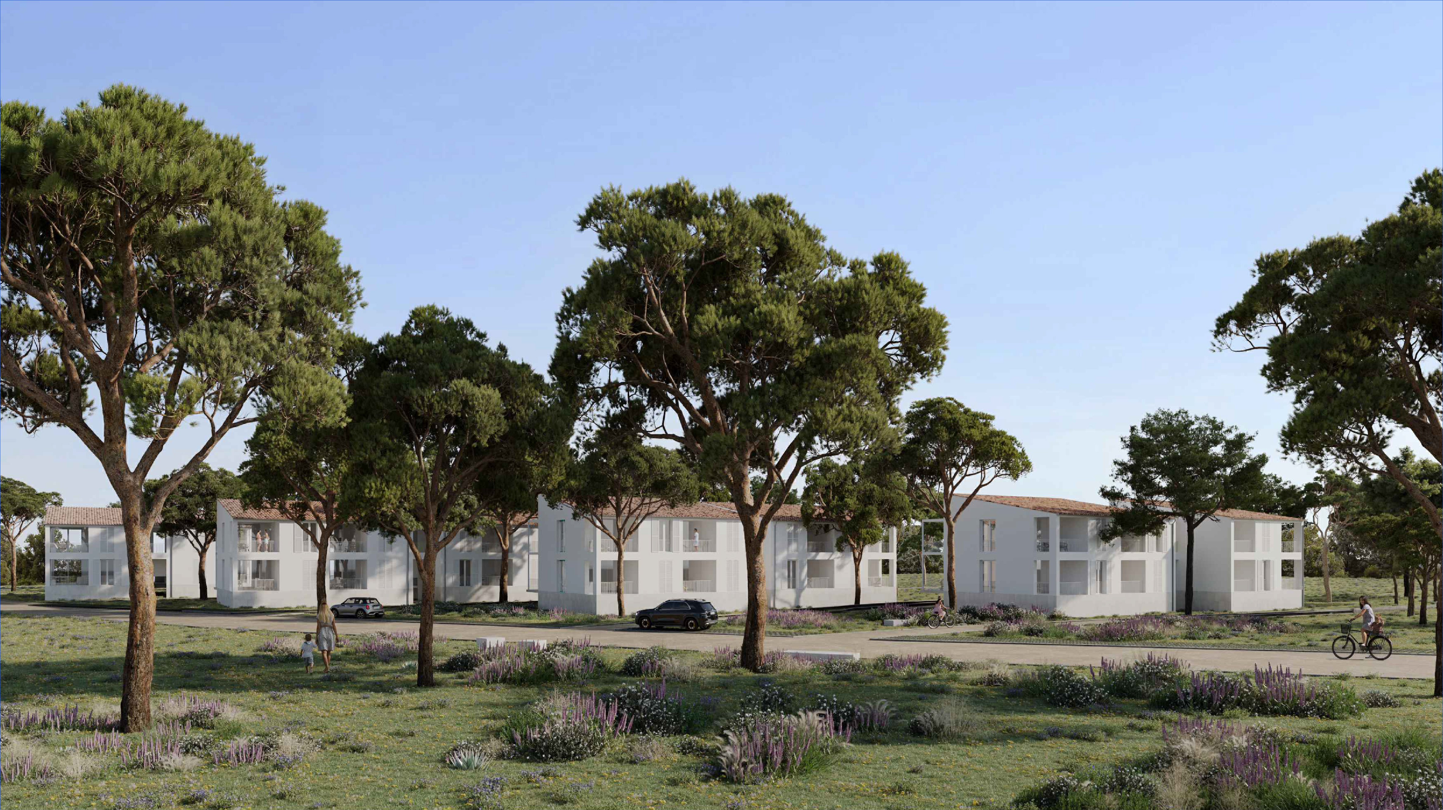 Projecció dels habitatges de l'IBAVI al Port de Pollença