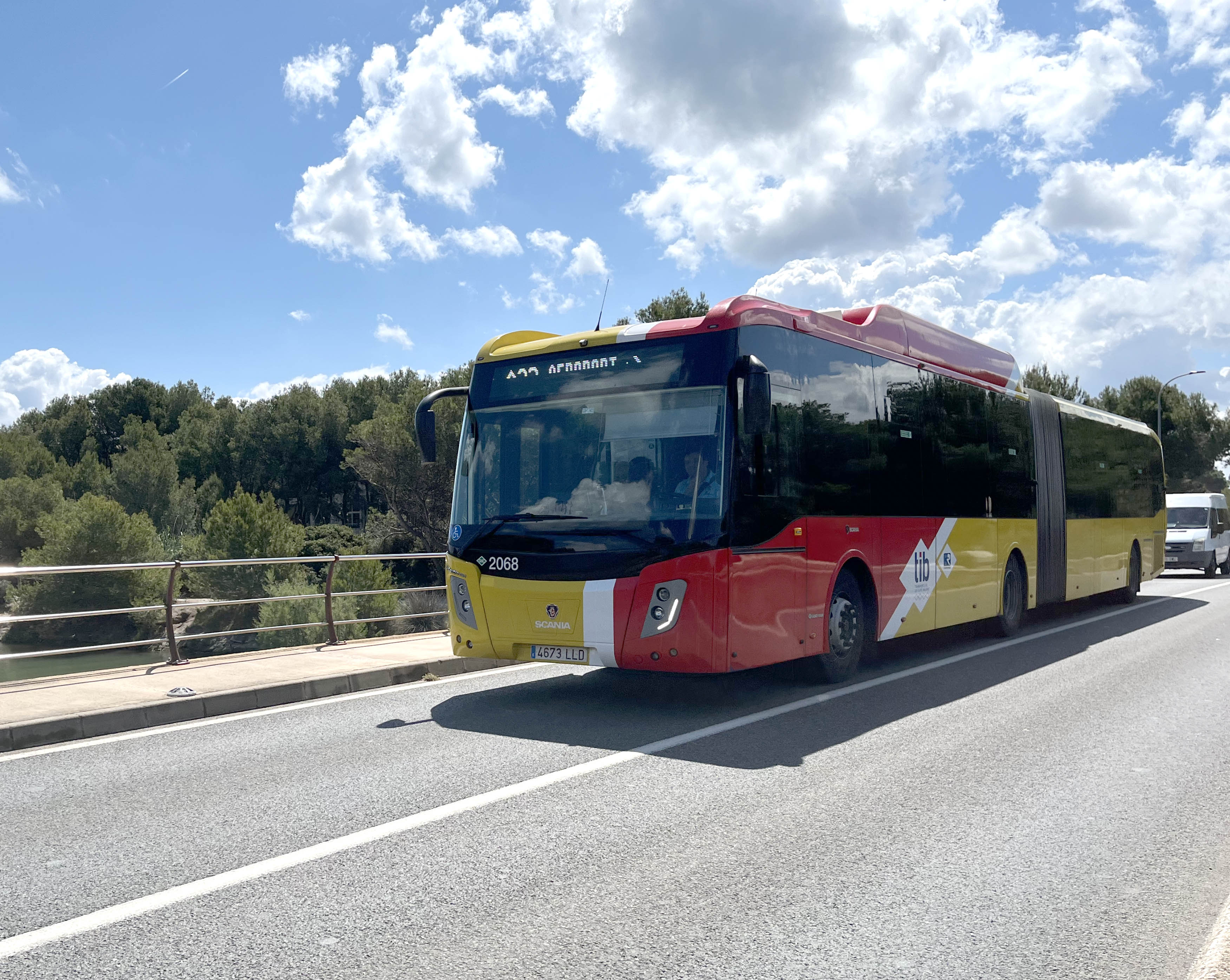 Autobús del TIB 