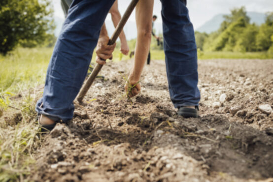 agricultor